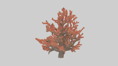 3D model Coral tree model VR / AR / low-poly