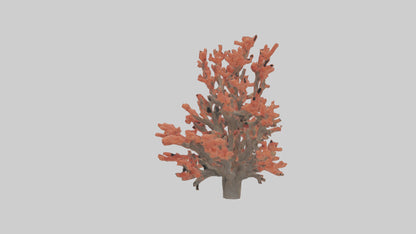 3D model Coral tree model VR / AR / low-poly