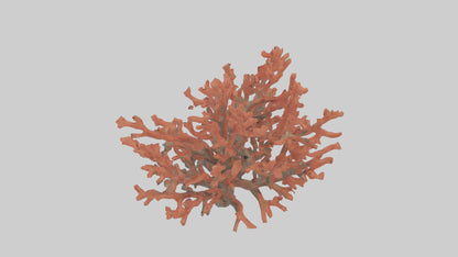 3D model Coral tree model VR / AR / low-poly