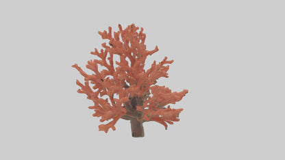 3D model Coral tree model VR / AR / low-poly