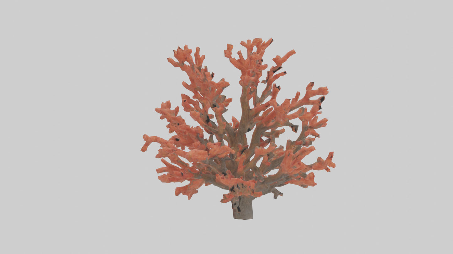 3D model Coral tree model VR / AR / low-poly