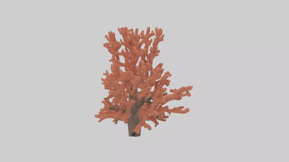 3D model Coral tree model VR / AR / low-poly