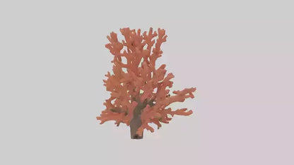 3D model Coral tree model VR / AR / low-poly