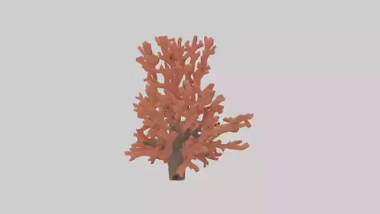 3D model Coral tree model VR / AR / low-poly