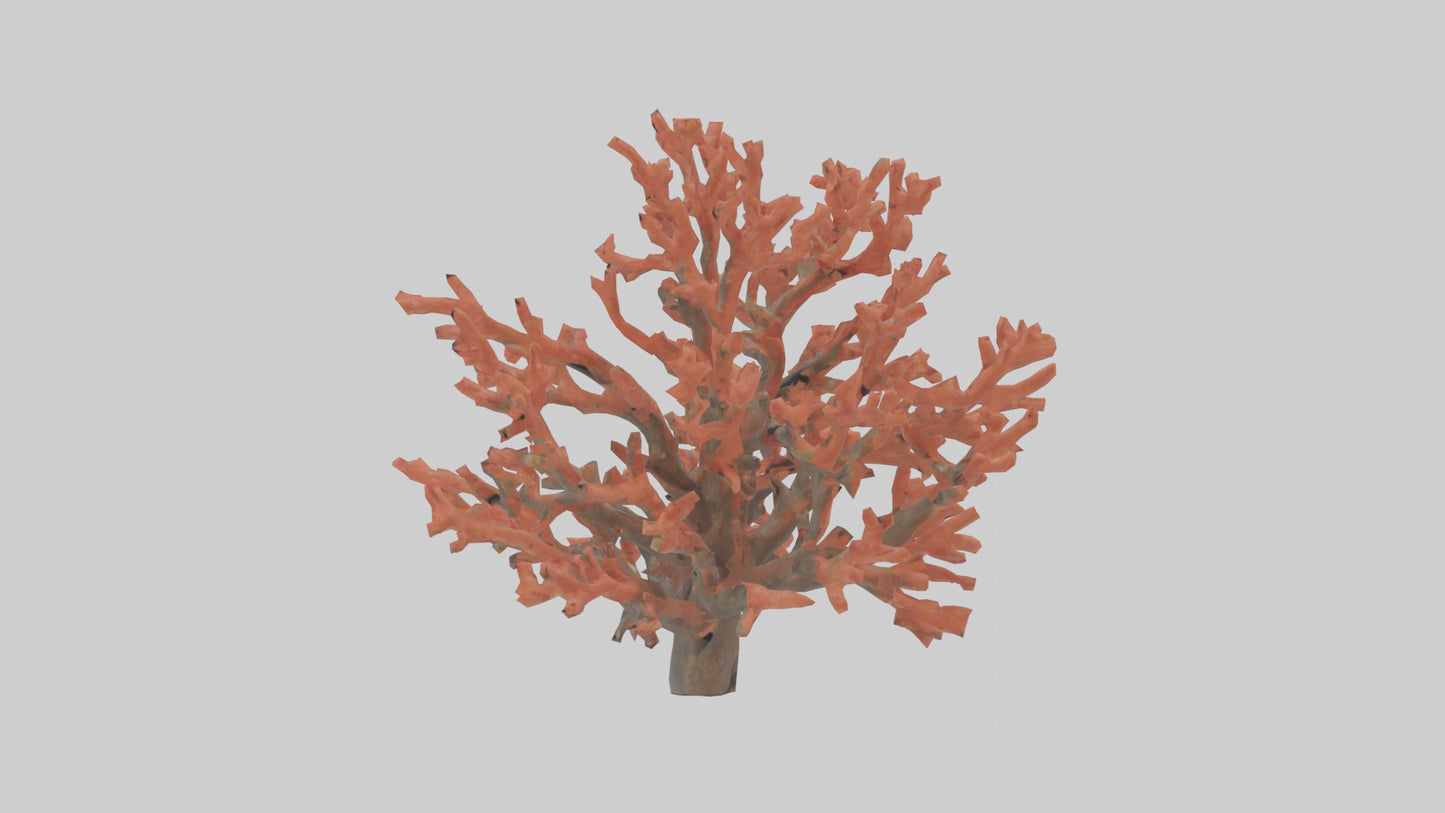 3D model Coral tree model VR / AR / low-poly