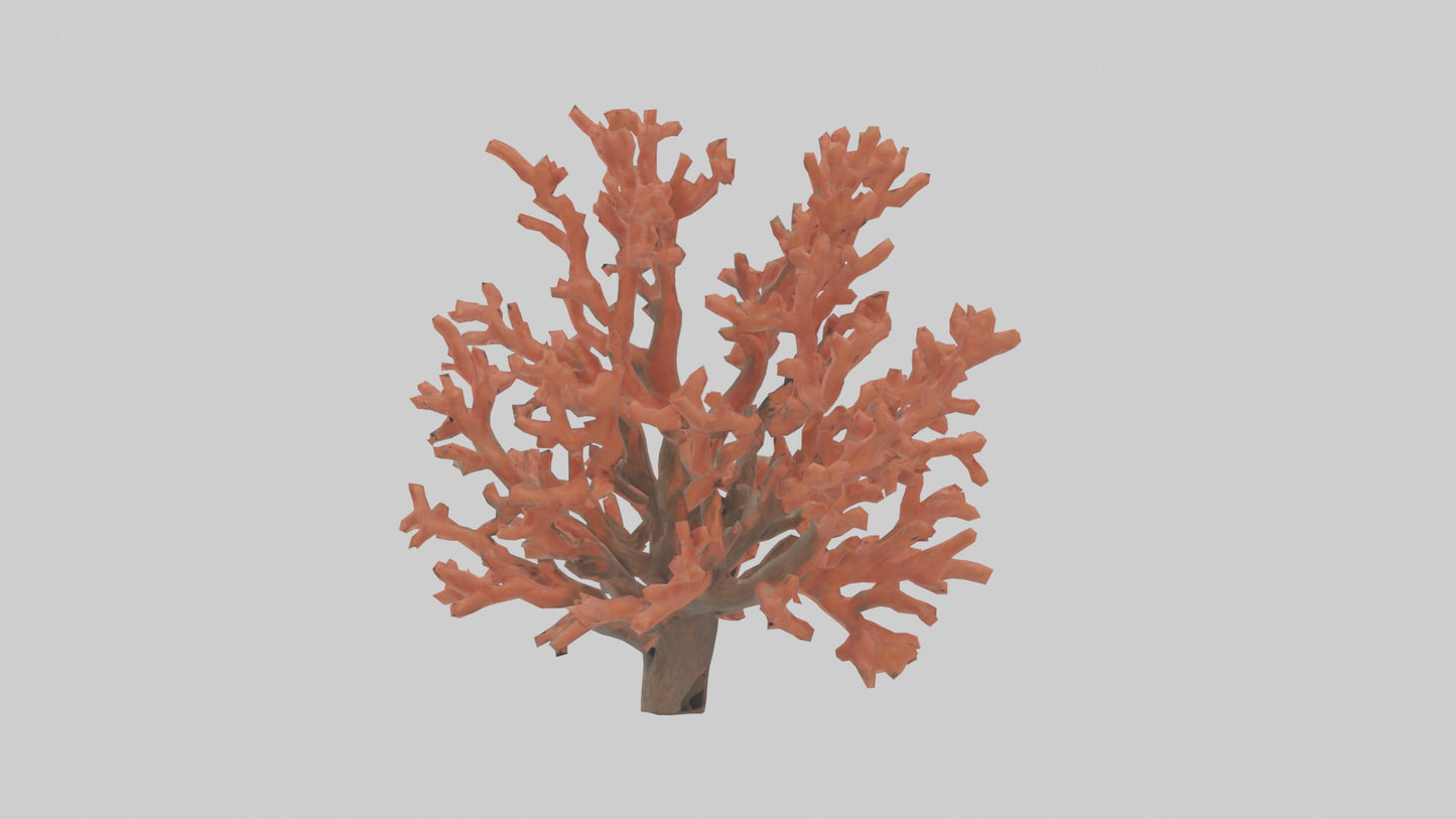 3D model Coral tree model VR / AR / low-poly