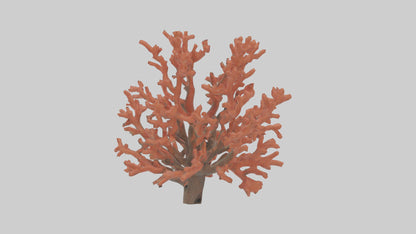 3D model Coral tree model VR / AR / low-poly