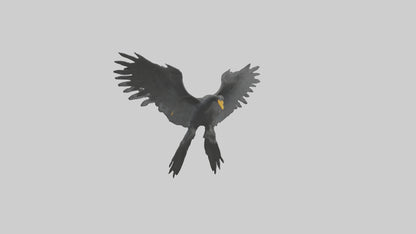 Cormorant Wings Model VR / AR / low-poly