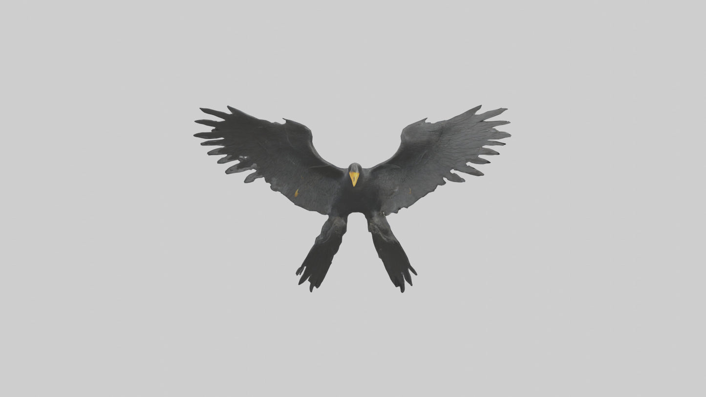 Cormorant Wings Model VR / AR / low-poly