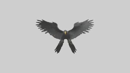 Cormorant Wings Model VR / AR / low-poly