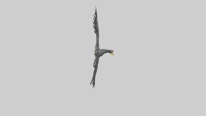 Cormorant Wings Model VR / AR / low-poly
