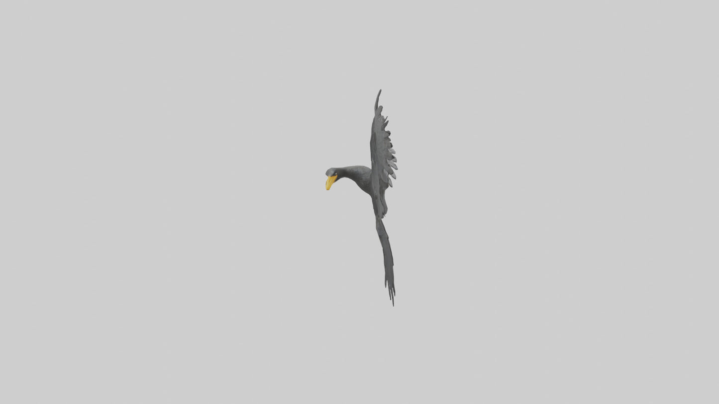 Cormorant Wings Model VR / AR / low-poly