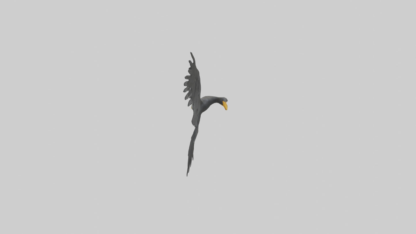 Cormorant Wings Model VR / AR / low-poly