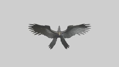 Cormorant Wings Model VR / AR / low-poly