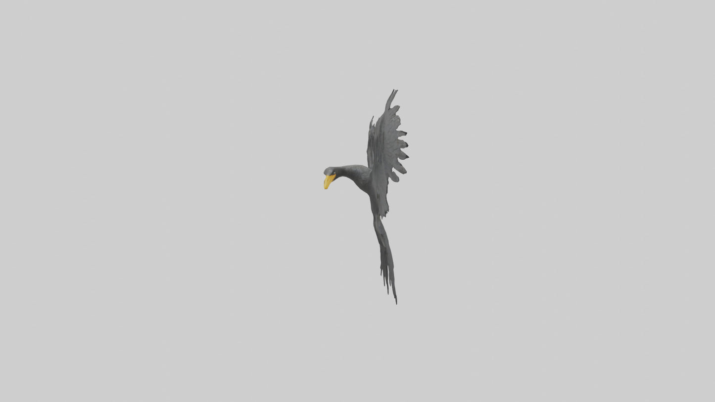 Cormorant Wings Model VR / AR / low-poly