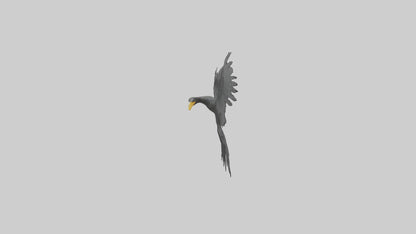 Cormorant Wings Model VR / AR / low-poly