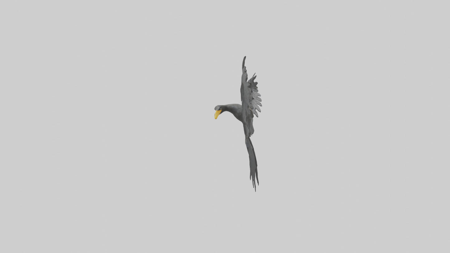 Cormorant Wings Model VR / AR / low-poly