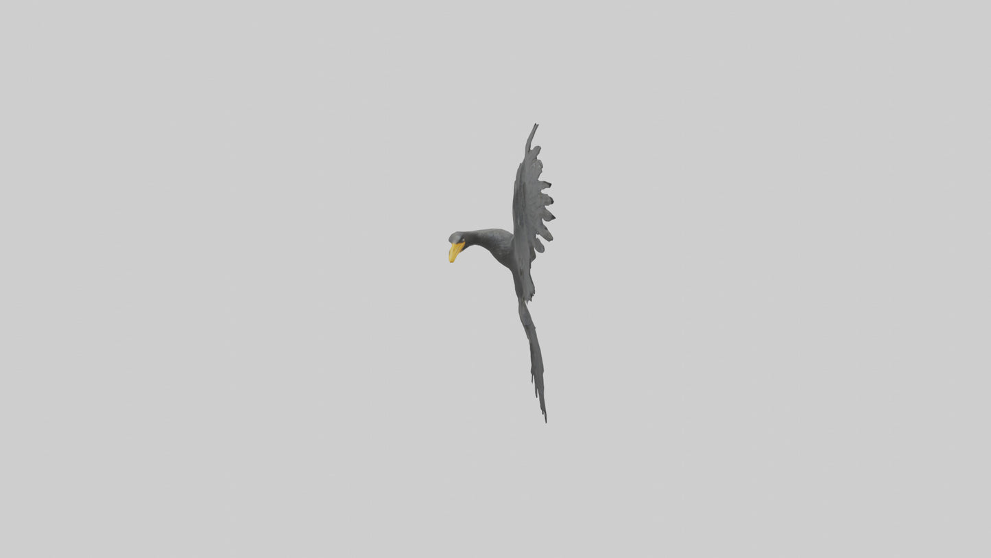 Cormorant Wings Model VR / AR / low-poly