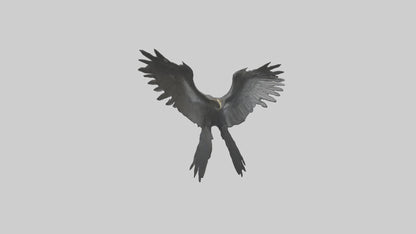 Cormorant Wings Model VR / AR / low-poly