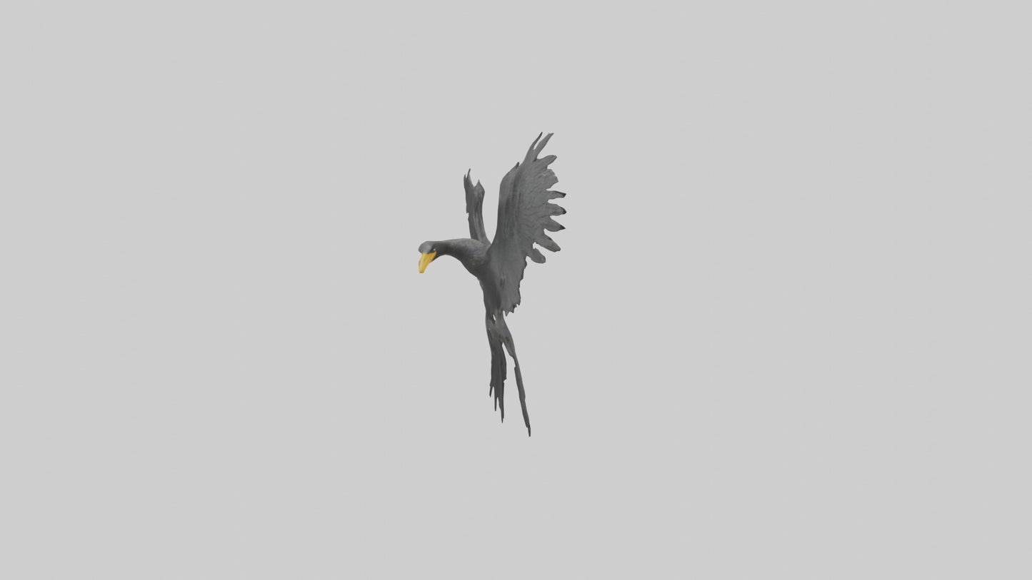 Cormorant Wings Model VR / AR / low-poly