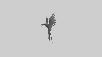 Cormorant Wings Model VR / AR / low-poly