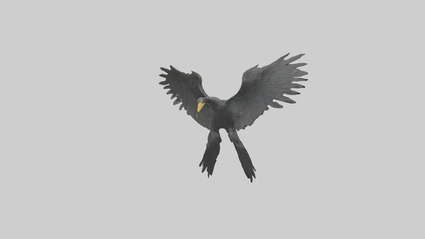 Cormorant Wings Model VR / AR / low-poly