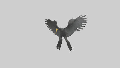Cormorant Wings Model VR / AR / low-poly