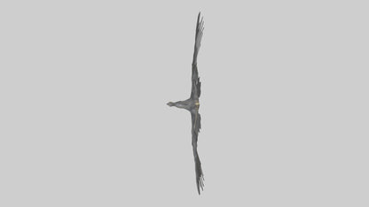 Cormorant Wings Model VR / AR / low-poly