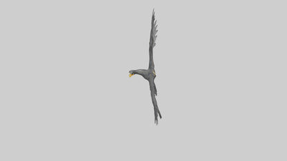 Cormorant Wings Model VR / AR / low-poly
