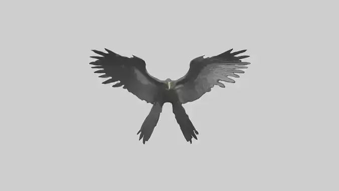 Cormorant Wings Model VR / AR / low-poly