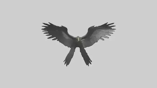 Cormorant Wings Model VR / AR / low-poly