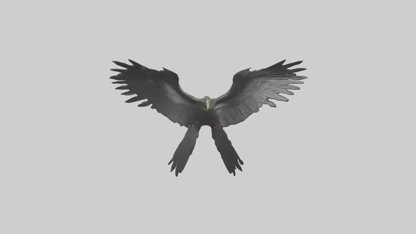 Cormorant Wings Model VR / AR / low-poly