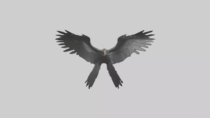 Cormorant Wings Model VR / AR / low-poly