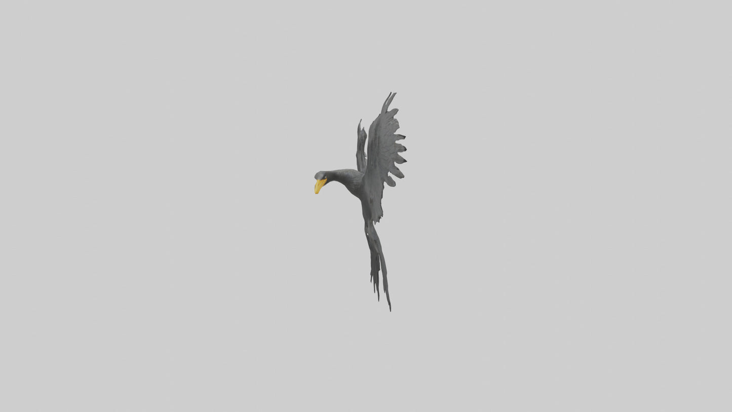 Cormorant Wings Model VR / AR / low-poly