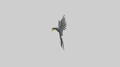 Cormorant Wings Model VR / AR / low-poly