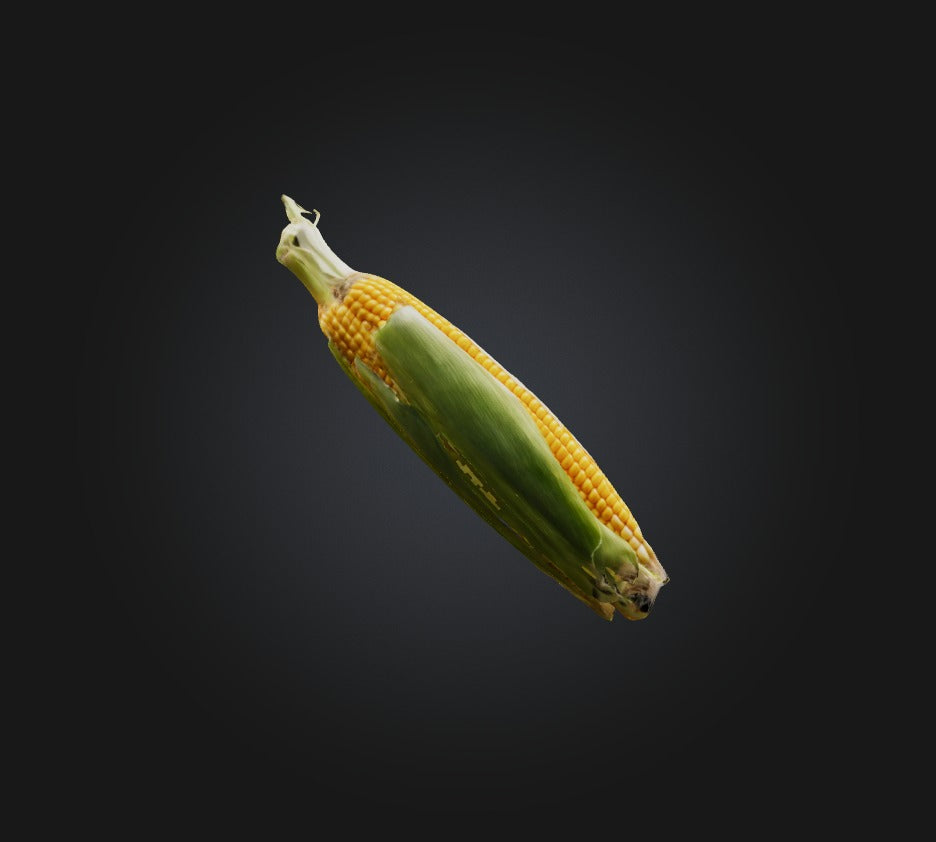 3D model Corn 2 VR / AR / low-poly