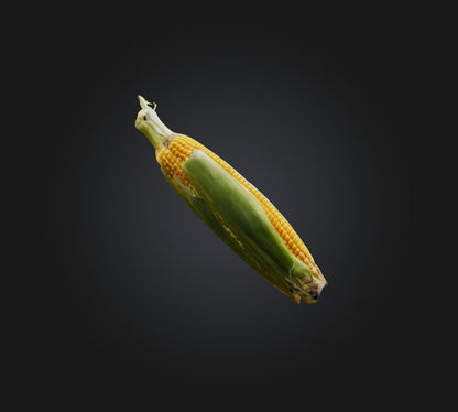 3D model Corn 2 VR / AR / low-poly