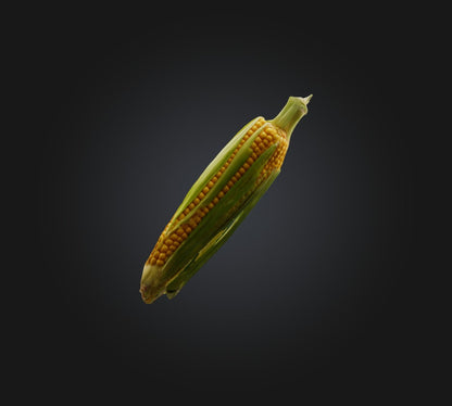 3D model Corn 2 VR / AR / low-poly