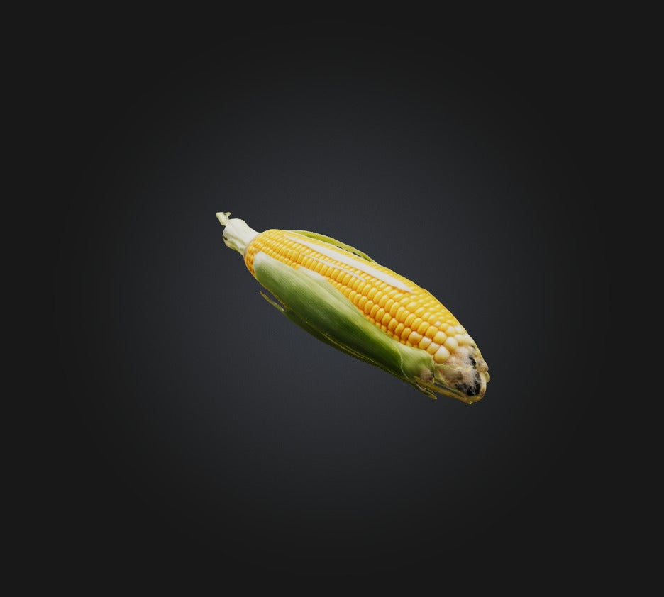 3D model Corn 2 VR / AR / low-poly