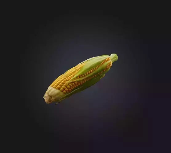 3D model Corn 2 VR / AR / low-poly