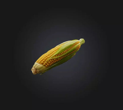 3D model Corn 2 VR / AR / low-poly