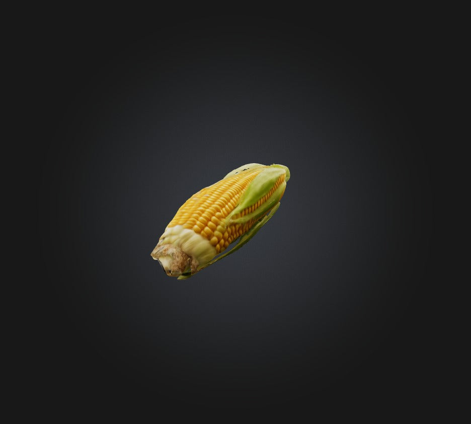 3D model Corn 2 VR / AR / low-poly