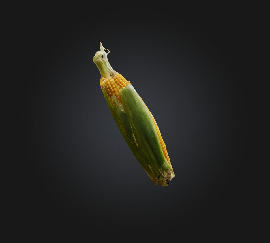 3D model Corn 2 VR / AR / low-poly