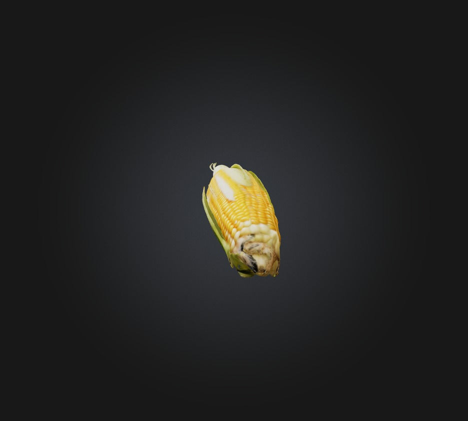 3D model Corn 2 VR / AR / low-poly