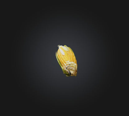 3D model Corn 2 VR / AR / low-poly