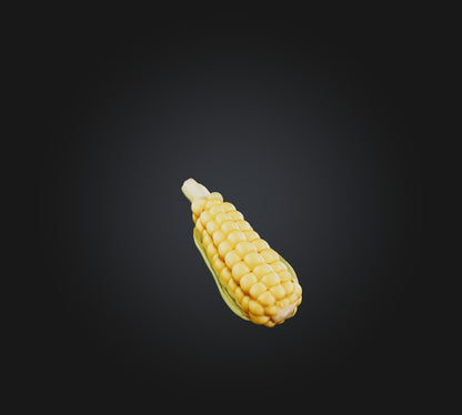 3D model Corn Model VR / AR / low-poly