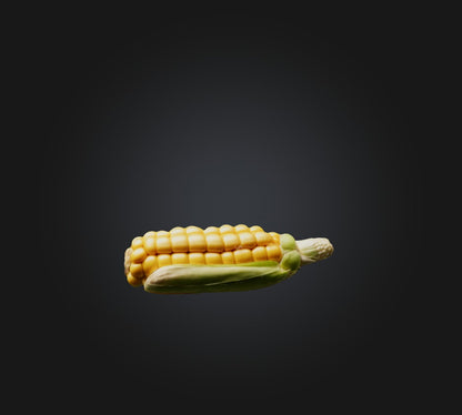 3D model Corn Model VR / AR / low-poly