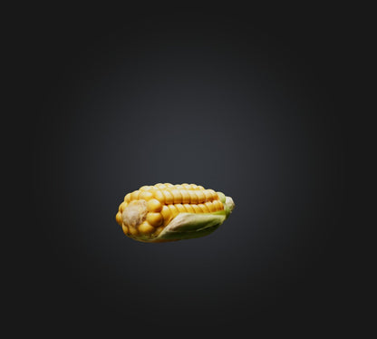 3D model Corn Model VR / AR / low-poly