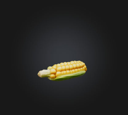 3D model Corn Model VR / AR / low-poly