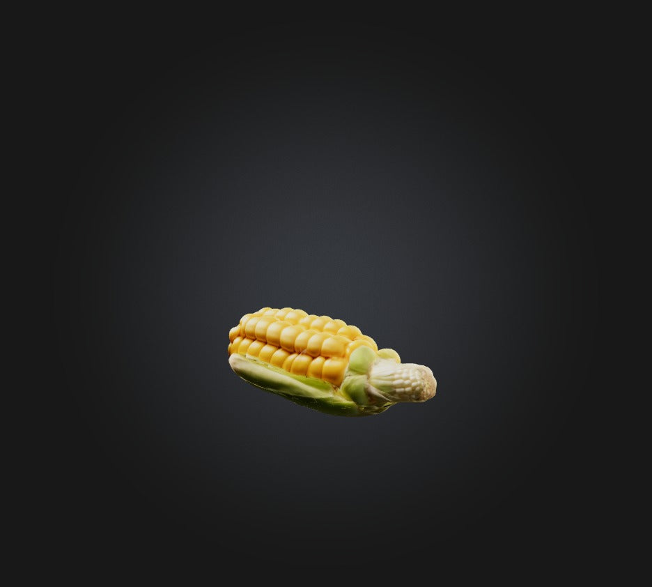 3D model Corn Model VR / AR / low-poly